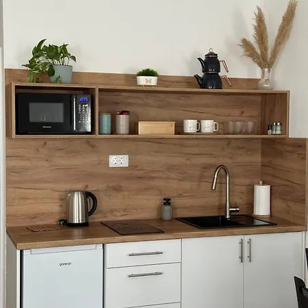 Izvor Apartment *